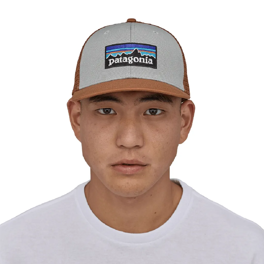 Patagonia P-6 Logo Trucker Hat - Past Season