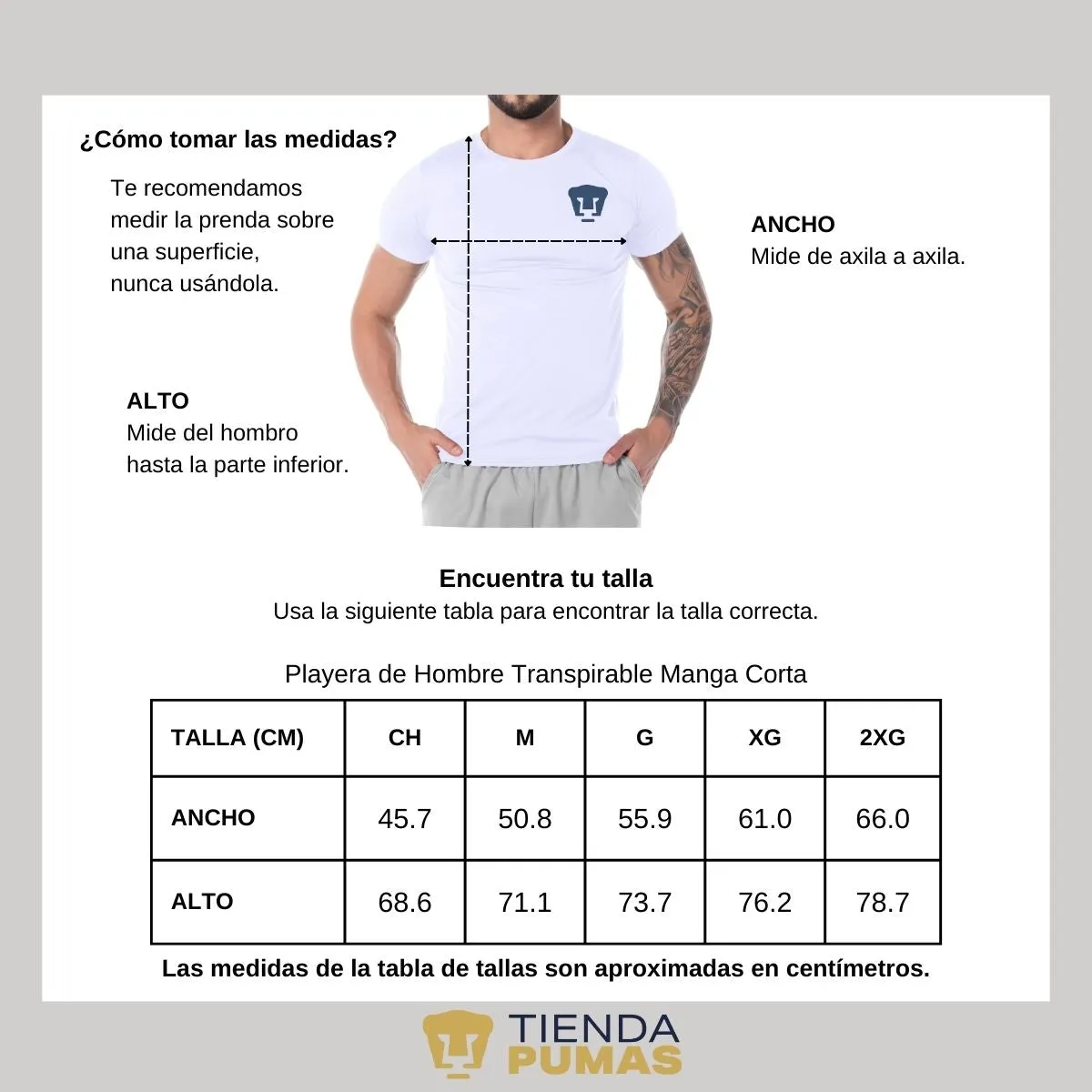 Playera transpirable Hombre Pumas UNAM Logo Azul