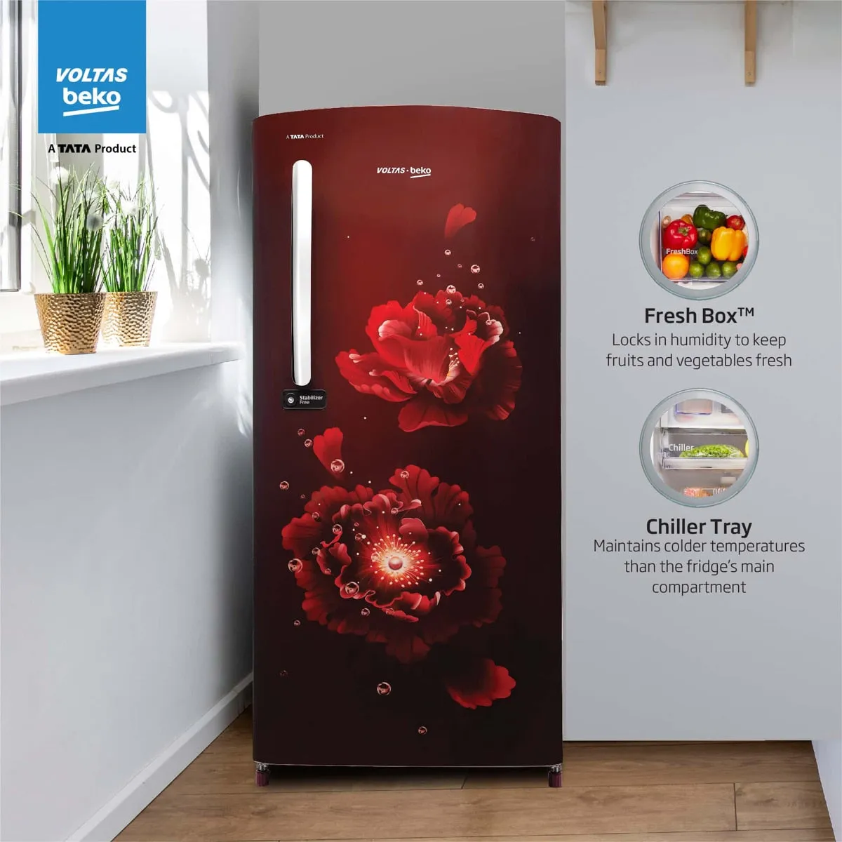 Voltas Beko 185 L, 5 Star, Single Door DC Refrigerator (Fairy Flower Wine)